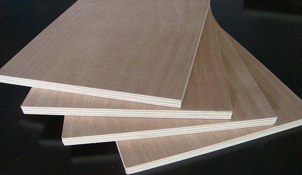 1220*2440mm poplar commercial plywood