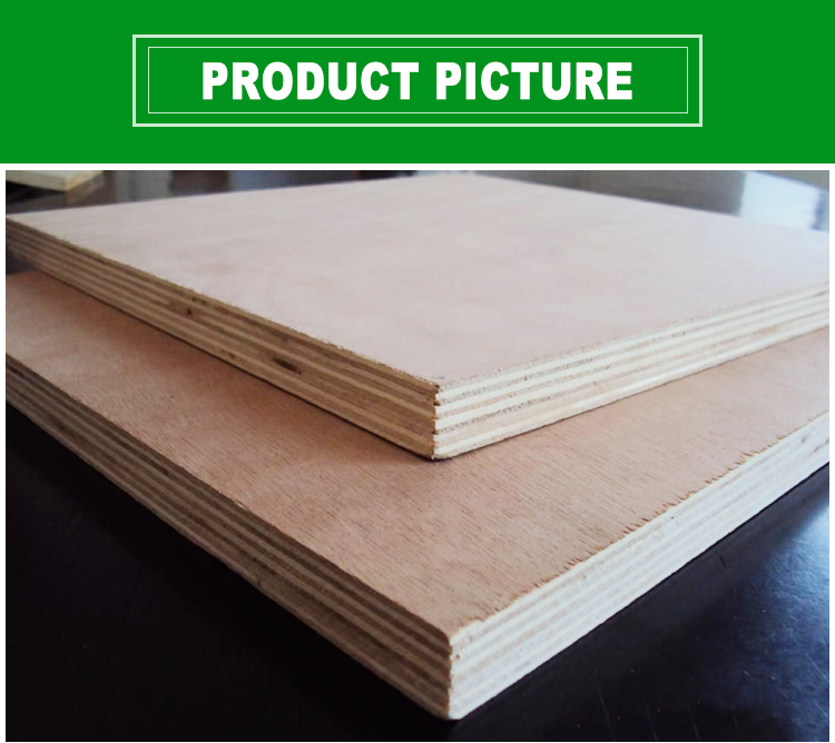 poplar commercial plywood 3-18mm plywood(图1)